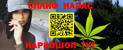 сатива Малгобек
