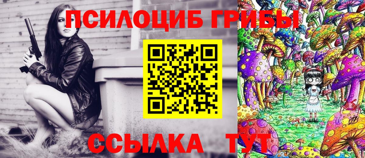 Родники  Псилоцибиновые грибы GOLDEN TEACHER  Вход с VPN 
