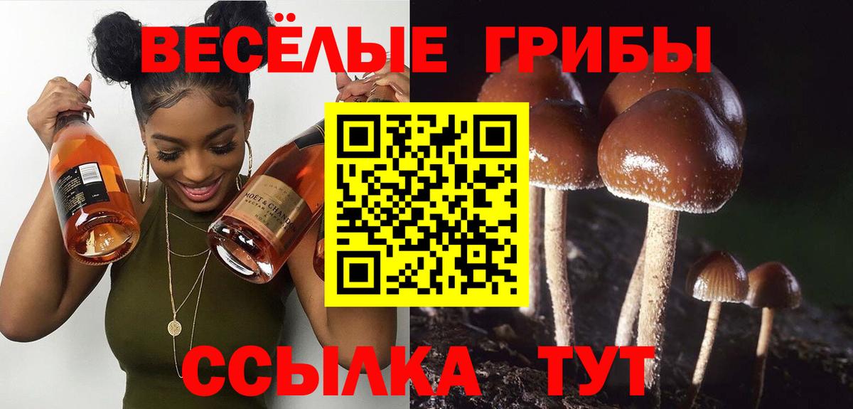 Галлюциногенные грибы мухоморы Родники
