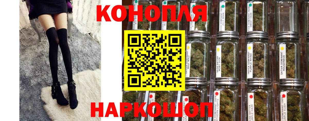 Бошки марихуана сатива  Вход с VPN  Каннабис Bruce Banner  Родники 